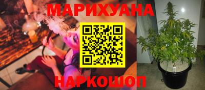 PSILOCYBIN Кунгур